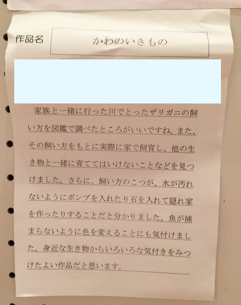 自由研究『かわのいきもの』に寄せられた審査の講評